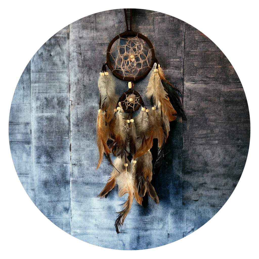 Dromenvanger Bruin