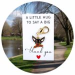 Pocket Hug Pinscher
