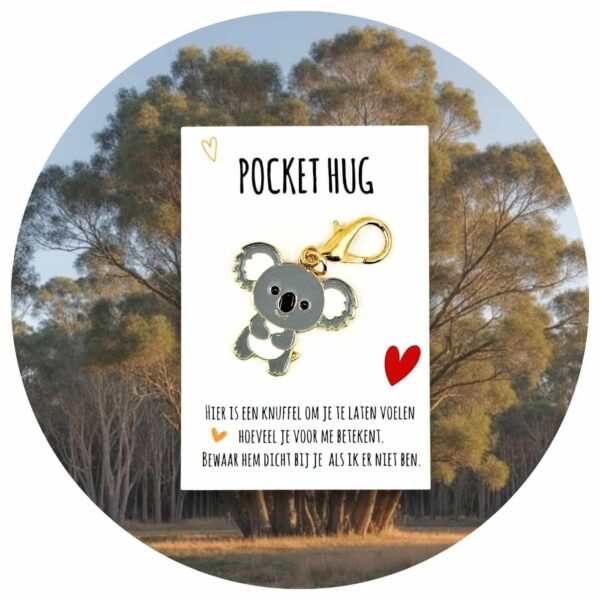 Pocket Hug knuffelkoala Nederlandse tekst