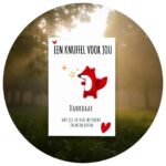 Pocket Hug Vosje dankbaar