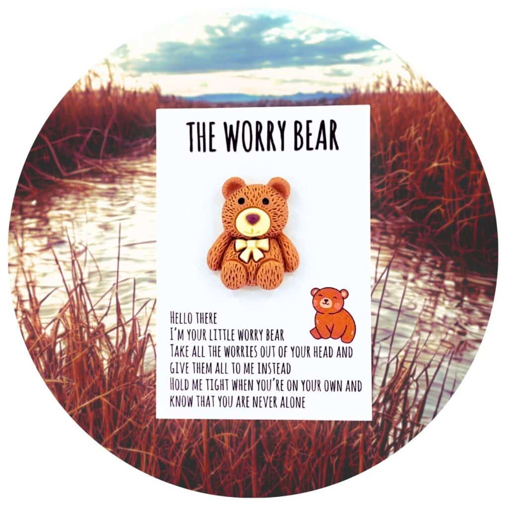 Pocket Hug worry bear bruin
