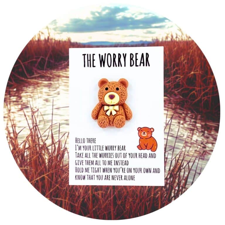 Pocket Hug worry bear bruin