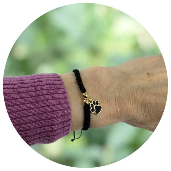 Veterarmband met dierenpootje op een groene achtergrond